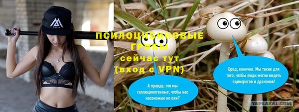 гидра Аркадак